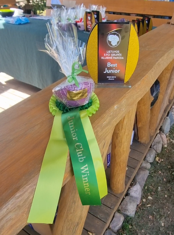 galerija_5_wonderful