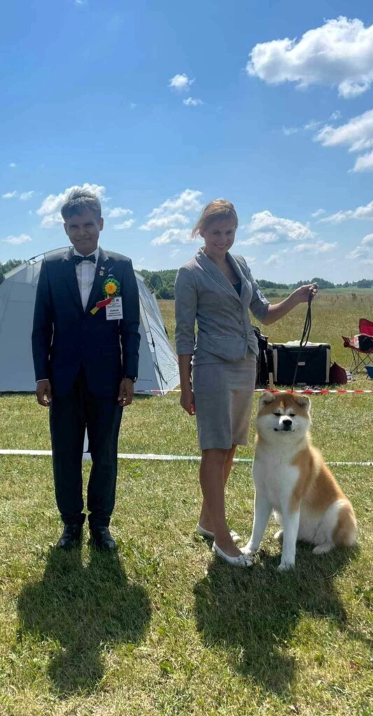 RemasterDirector_18da6b0cf